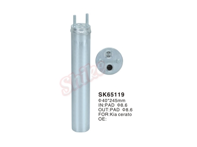 SK-65119